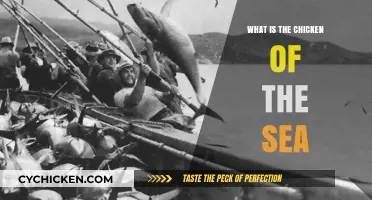 Unveiling the Mystery: What is the Chicken of the Sea?