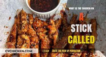Unveiling the Name: What is the Chicken on a Stick Called?