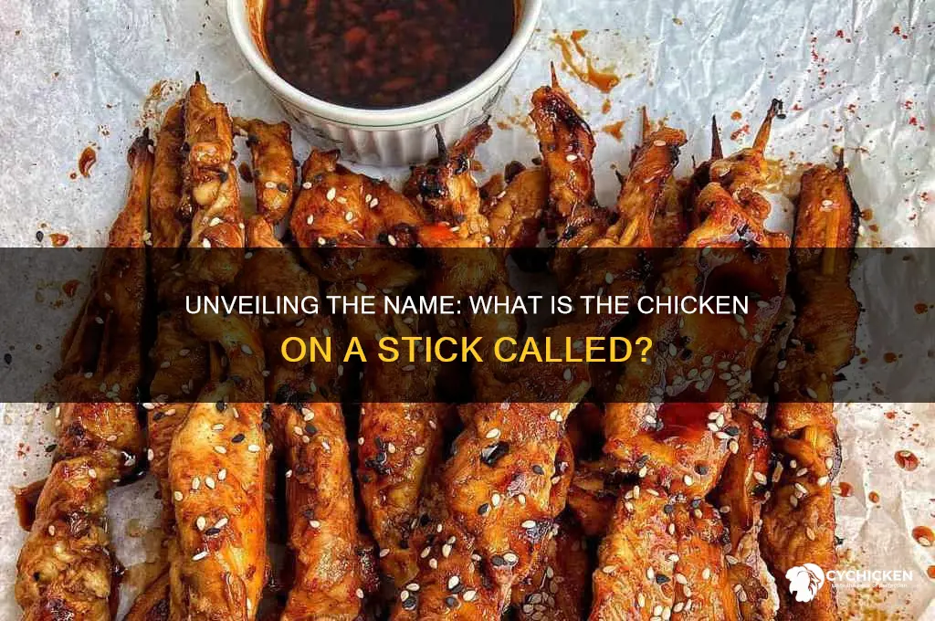 what is the chicken on a stick called