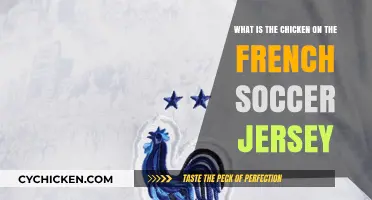 The Mystery of the French Soccer Jersey's Chicken Emblem