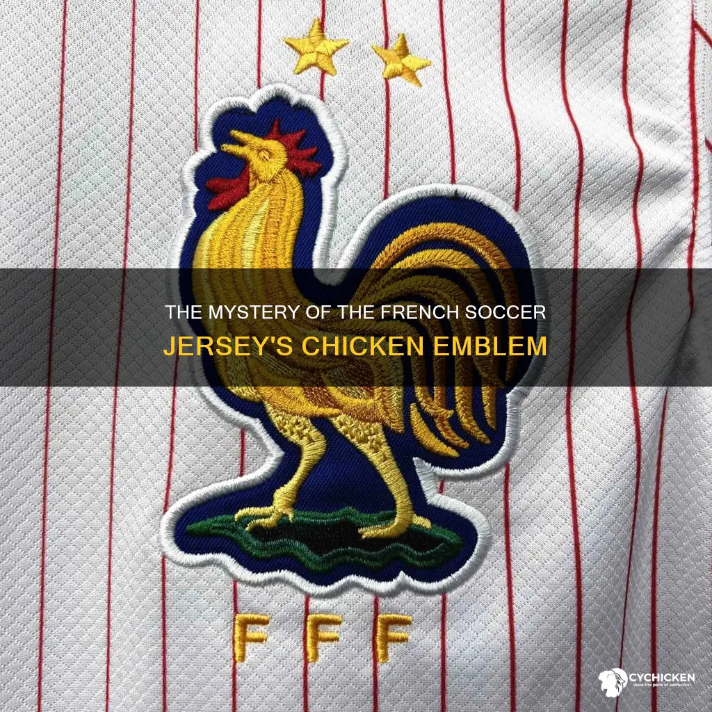 what is the chicken on the french soccer jersey