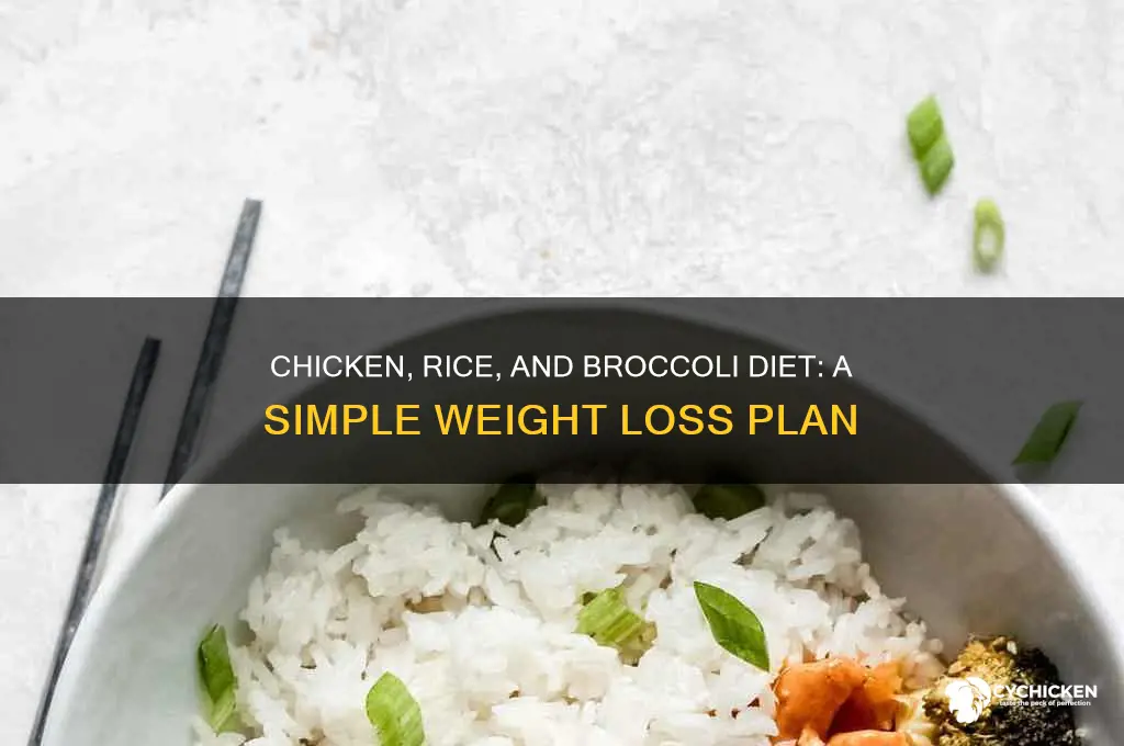 what is the chicken rice and broccoli diet