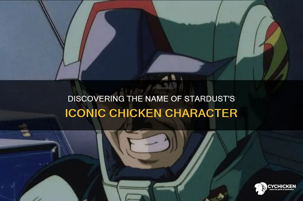what is the chicken