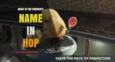 Discovering the Chicken's Name in Hop: A Fun Character Guide