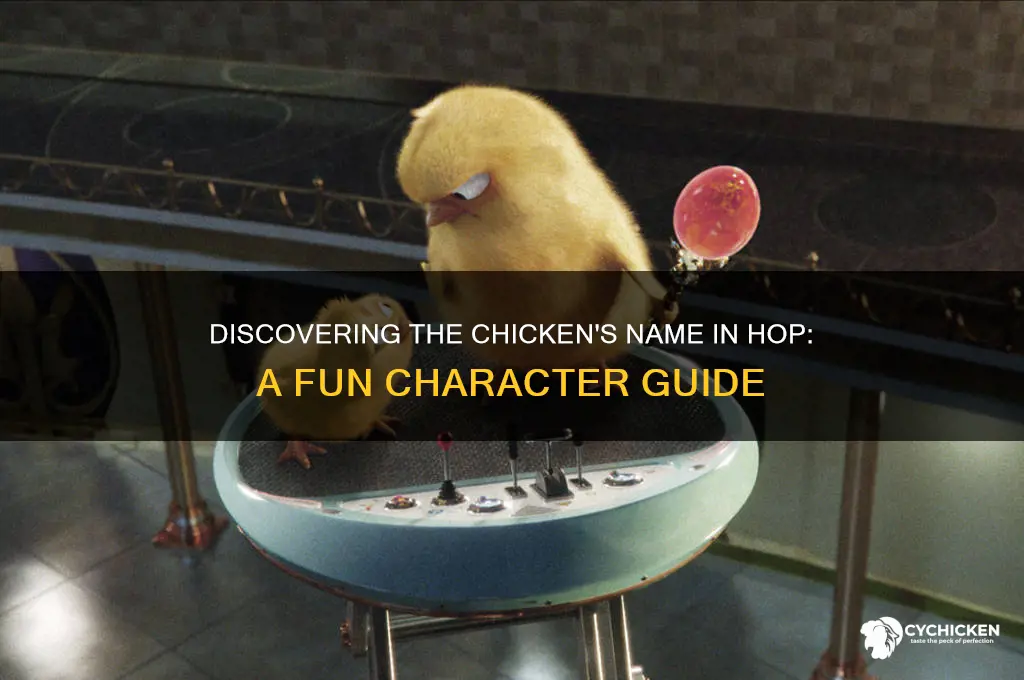 what is the chicken