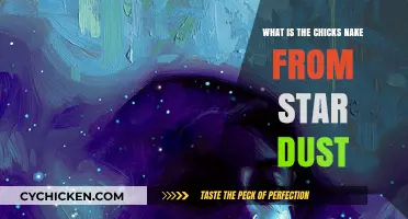 Unveiling the Star Dust Chick's Naked Truth: A Cosmic Mystery