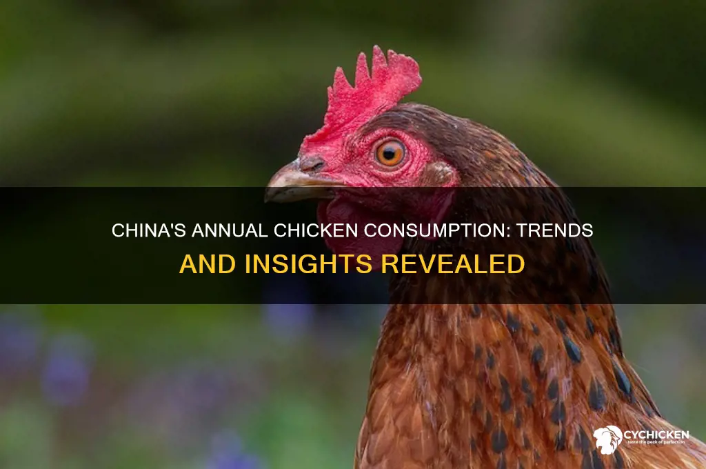 what is the chinese chicken consumption per year