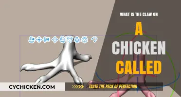 Understanding the Chicken's Claw: What Is the Spiky Toe Called?