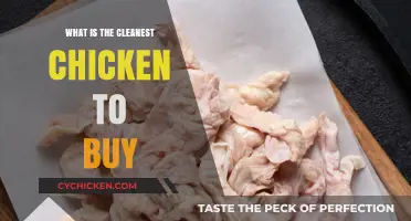 Choosing the Cleanest Chicken: A Guide to Healthy, Safe Options