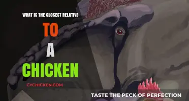 Unveiling the Surprising Closest Relative to the Common Chicken