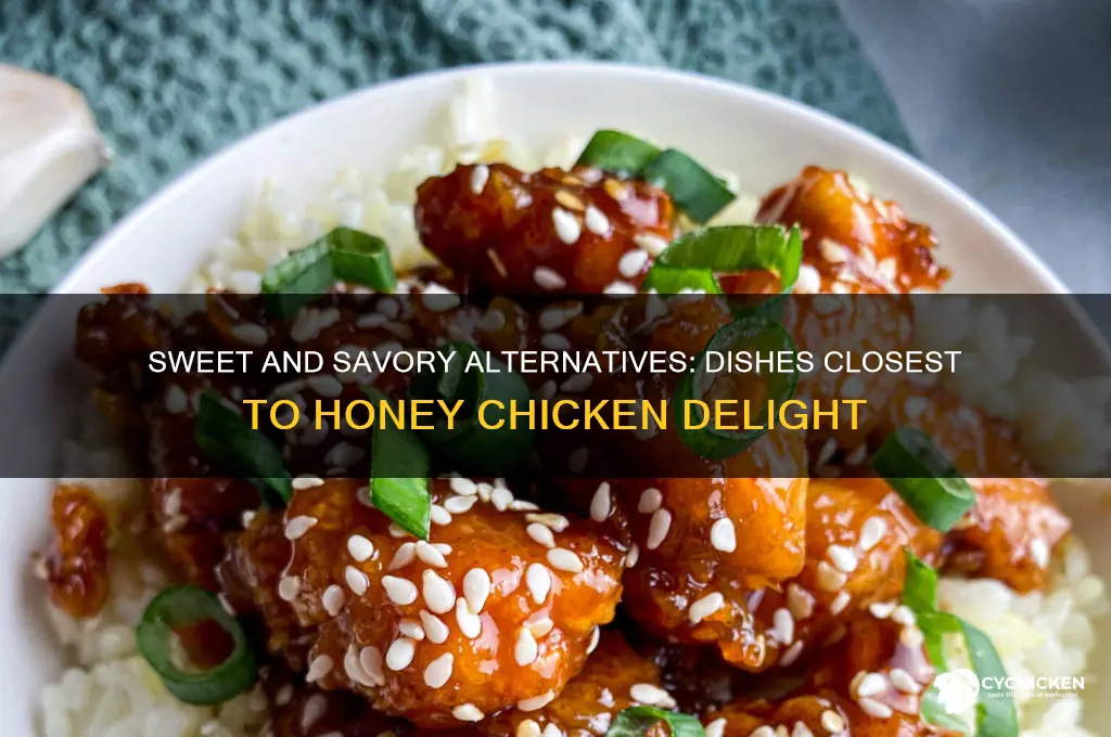 what is the closest thing to honey chicken