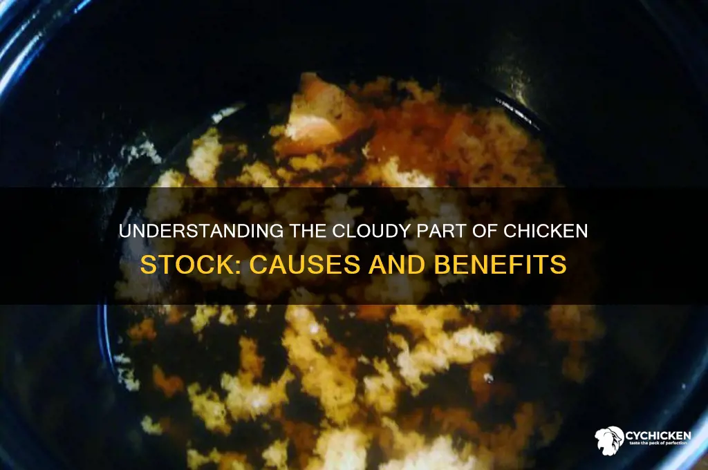 what is the cloudy part of chicken stock