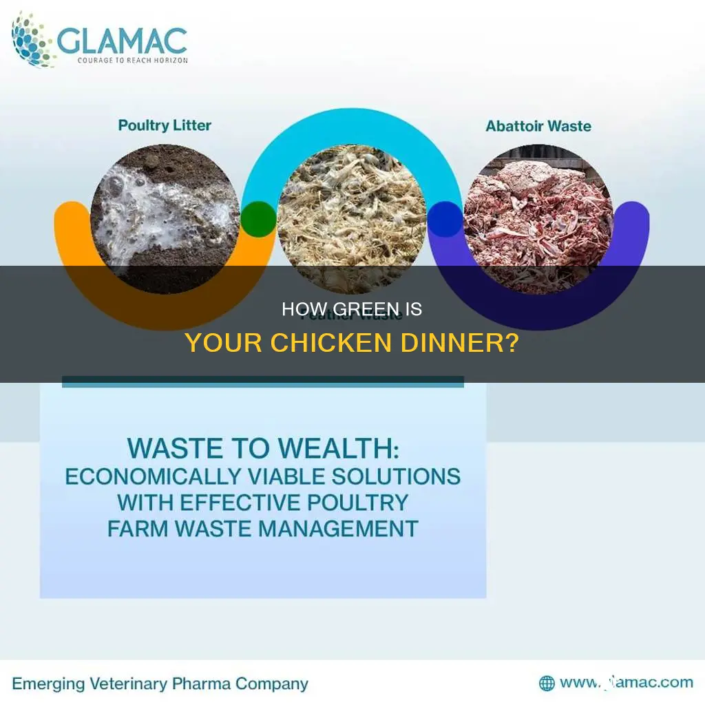 what is the co2 equivalent to one pound of chicken