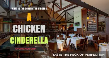 Cinders: A Chicken Cinderella's Conflict