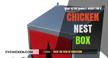 Ideal Height for Chicken Nest Boxes: How High is Too High?