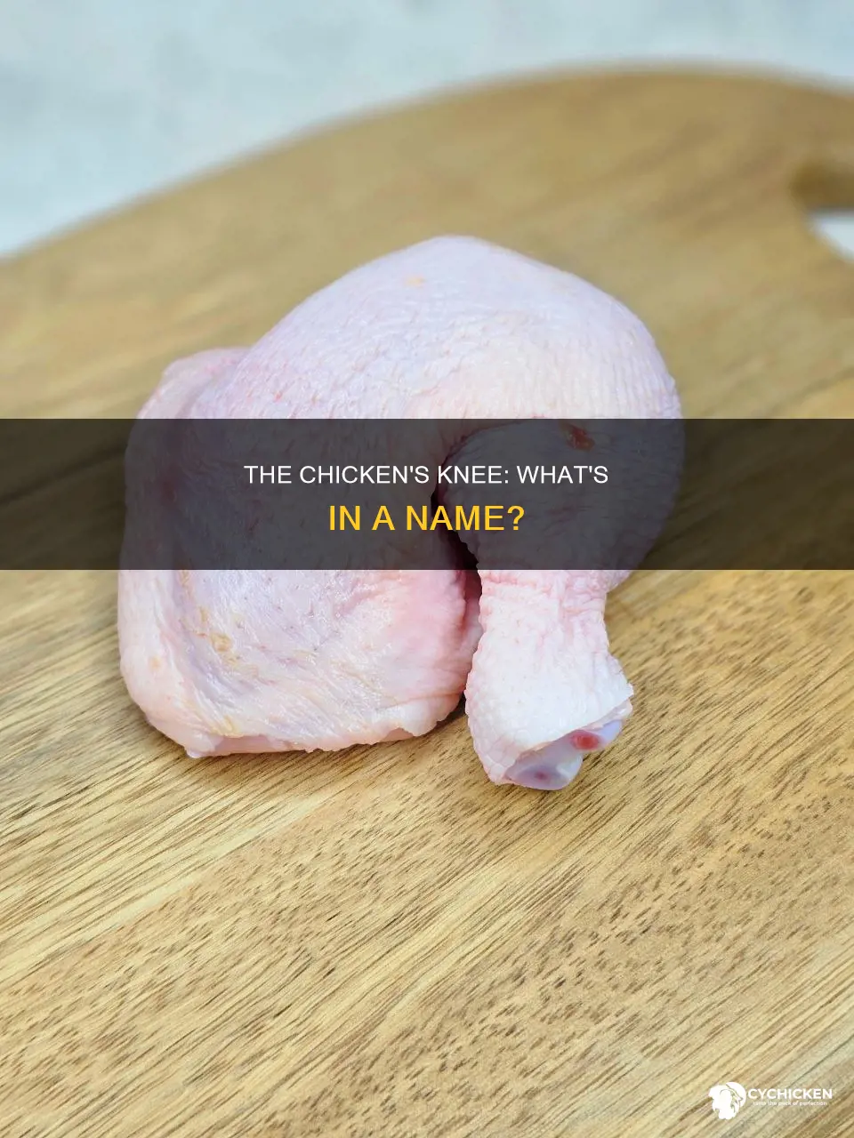 what is the correct name for a chicken