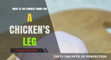 Understanding Chicken Anatomy: What Are a Chicken's Legs Called?