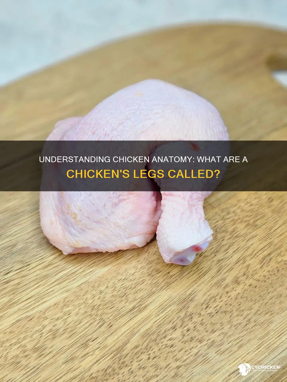 what is the correct name for a chicken