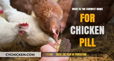 Understanding Chicken Pills: The Correct Name and Their Purpose Explained