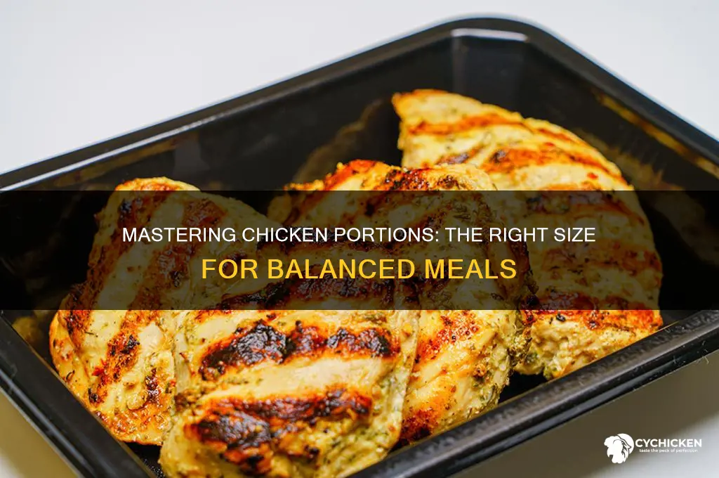 what is the correct portion size for chicken