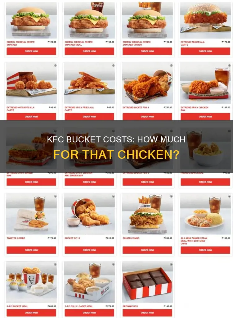 what is the cost of a bucket of kfc chicken