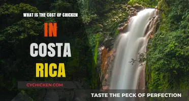 Chicken Costs in Costa Rica: How Much?