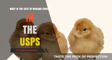 Mailing Chicks: USPS Costs and Requirements