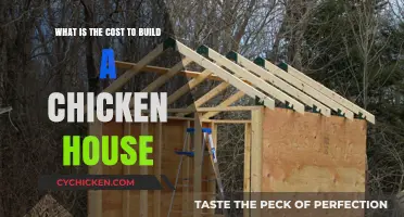 Building a Chicken House: How Much Does It Cost?