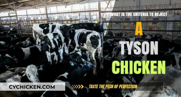 Tyson Chicken: Quality Standards and Rejection Criteria