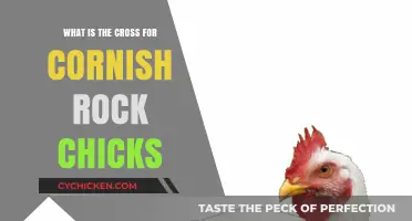 Understanding the Cross Symbol for Cornish Rock Chicks: Origins and Meaning