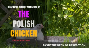 Tracking the Polish Chicken Population