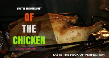 Unveiling the Mystery: What is the Dark Part of the Chicken?