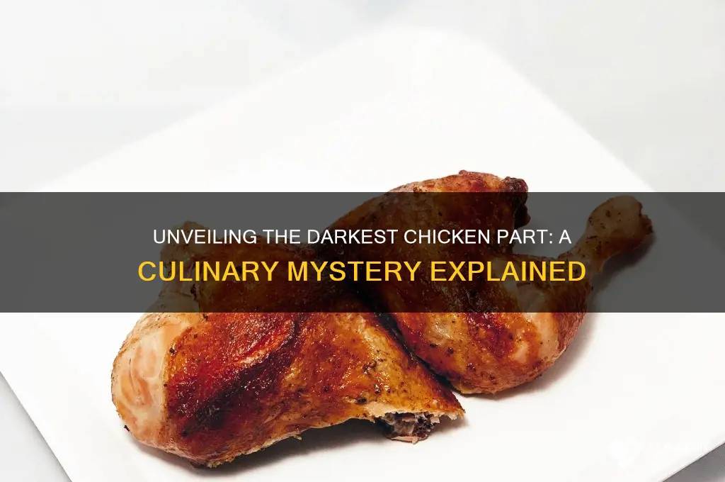 what is the darkest part of the chicken