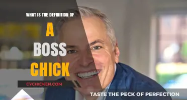 Defining the Boss Chick: Empowered Women Redefining Success and Leadership