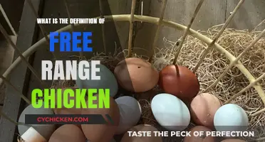 Understanding Free Range Chicken: Definition, Benefits, and Farming Practices
