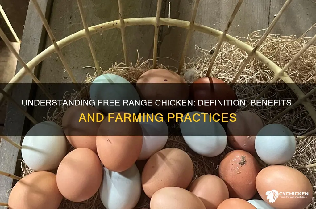 what is the definition of free range chicken