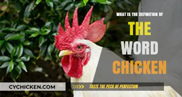 Understanding the Definition of the Word Chicken: A Comprehensive Guide