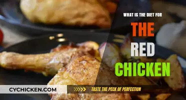 Red Chicken Diet: Nutrition, Feeding Tips, and Health Benefits