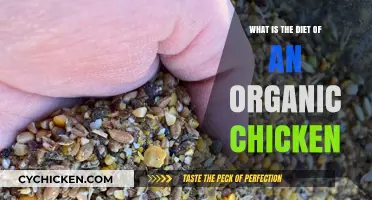 Understanding the Natural, Organic Diet of Healthy, Happy Chickens