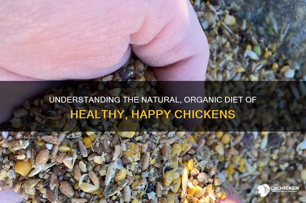 what is the diet of an organic chicken
