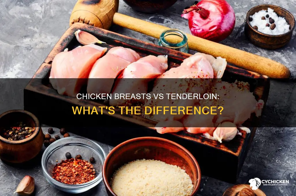 what is the diffeence in a chicken breat and tenderloin