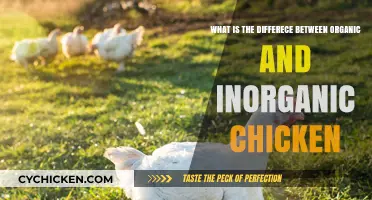 Organic vs Inorganic Chicken: What's the Real Difference?