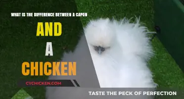 Capon vs. Chicken: What's the Difference?