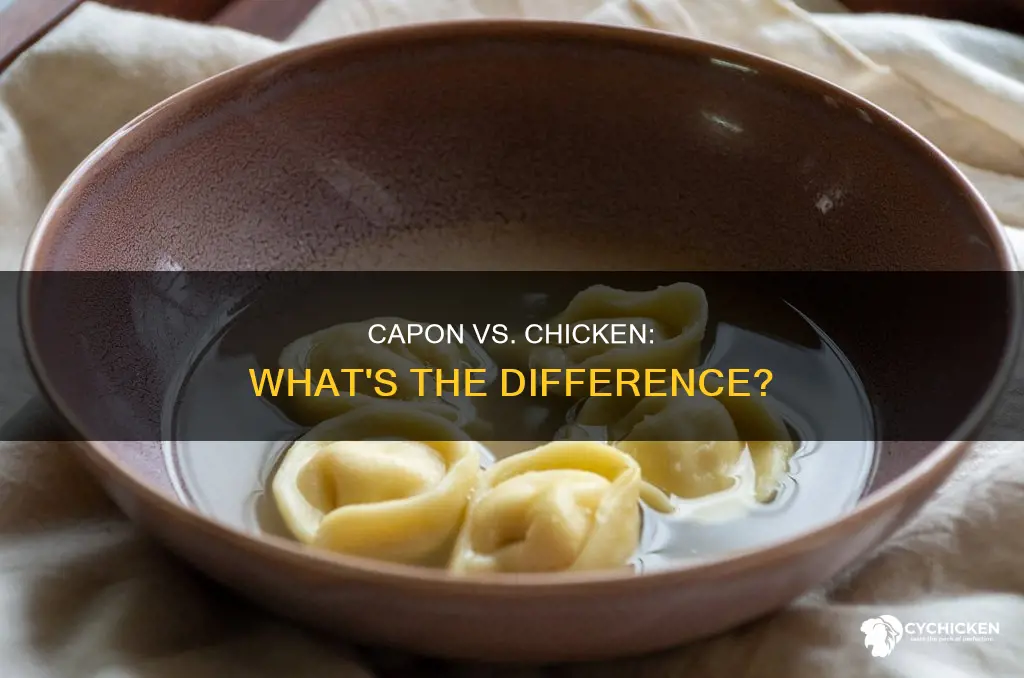what is the difference between a capon and a chicken