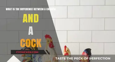 Cock vs. Chicken: What's the Difference?