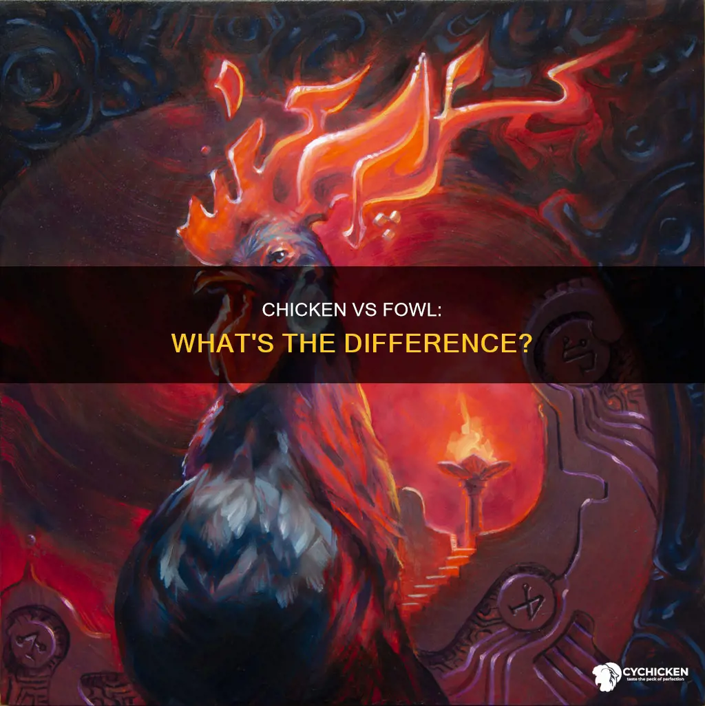 what is the difference between a chicken and a fowl