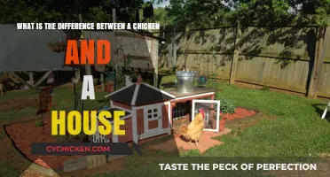Chicken vs House: A Tale of Two Abodes
