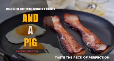 Chicken vs Pig: Understanding the Fundamental Difference