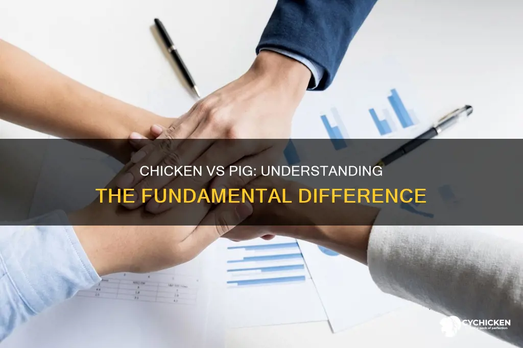 what is the difference between a chicken and a pig