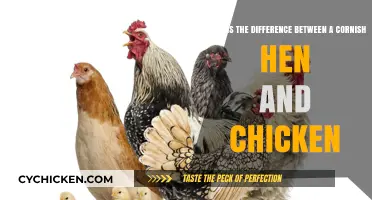 Cornish Hens vs Chickens: What's the Difference?